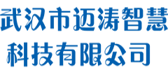 武汉市迈涛智慧科技有限公司